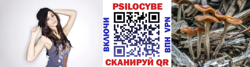 Купить где  Ленинградская  Псилоцибиновые грибы ЛСД 